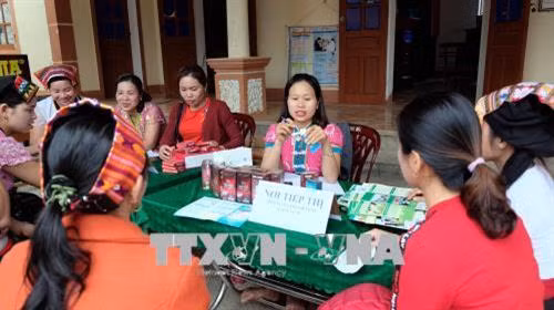 Tư vấn sức khỏe sinh sản cho người dân xã Bồng Khê, huyện Con Cuông, tỉnh Nghệ An. Ảnh: Bích Huệ - TTXVN
