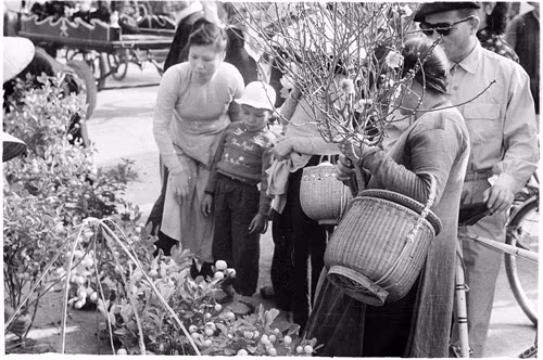 Người dân Thủ đô đi chợ hoa Tết BínhThân 1956. Ảnh: TTXVN