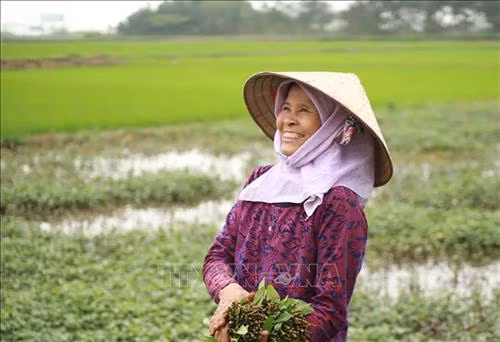 Bà Trần Thị Yên 62 tuổi thôn Ái Văn, rất phấn khởi khi xã sắp được dỡ bỏ cách ly. Ảnh: Hoàng Hùng - TTXVN