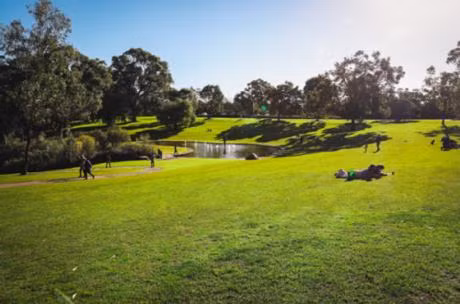 Rảo bước đến Công viên các vị Vua và vườn bách thảo (King Park and Botanic Garden), bạn sẽ cảm thấy dễ chịu với bầu không khí trong lành, tươi mát.