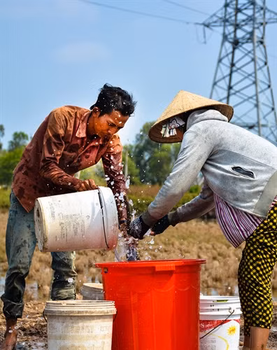 Khai thác nguồn nước ngầm là giải pháp duy nhất giúp người dân Cà Mau vượt qua cơn hạn kéo dài.