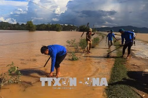 Nhà một hộ dân tại xã Thanh Xuân, huyện Thanh Chương, tỉnh Nghệ An bị ngập trong nước lũ. Ảnh: Nguyễn Oanh -TTXVN. Người dân phải dùng thuyền để di chuyển trong xã. Ảnh: Nguyễn Oanh-TTXVN. Nước lũ ngập trên diện rộng, ảnh hưởng tới đời sống sinh hoạt, giao thông của người dân. Ảnh: Nguyễn Oanh-TTXVN.