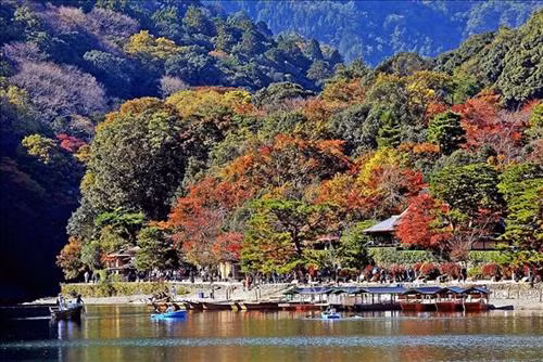 Một góc công viên Arashiyama. Ảnh: Huy Hùng - TTXVN