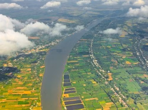 Mê Kông được đánh giá là khu vực có mức độ đa dạng sinh học cao. Ảnh: Duy Khương -TTXVN