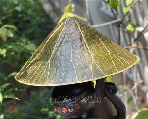 Sản phẩm "nón lá sen" của Nguyễn Thanh Thảo. Ảnh: Quốc Việt - TTXVN