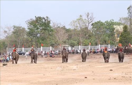 Pha tranh chấp bóng trong phần thi voi đá bóng. Ảnh: Tuấn Anh - TTXVN Pha tranh chấp bóng trong phần thi voi đá bóng. Ảnh: Tuấn Anh - TTXVN Pha khống chế bóng tốt của “vận động viên voi” trong phần thi voi đá bóng. Ảnh: Tuấn Anh - TTXVN Phần thi voi chạy đua tại Hội voi. Ảnh: Tuấn Anh - TTXVN Voi tăng tốc cán đích. Ảnh: Tuấn Anh - TTXVN Voi tăng tốc cán đích. Ảnh: Tuấn Anh - TTXVN Voi tăng tốc cán đích. Ảnh: Tuấn Anh - TTXVN Voi dự tiệc “bufet” sau phần thi chạy đua. Ảnh: Tuấn Anh - TTXVN