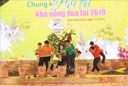 Phần thi nhà nông liên kết hái cà phê tại đêm chung kết. Ảnh: Phạm Cường-TTXVN