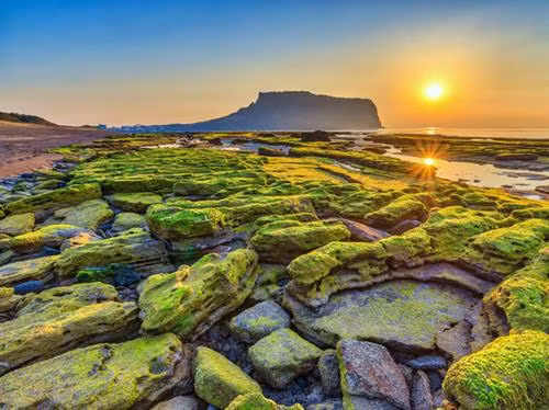 Đảo Jeju tự hào với ngọn núi cao nhất Hàn Quốc, Hallasan, một ngọn núi lửa không hoạt động, cao gần 1.950 mét so với mực nước biển.
