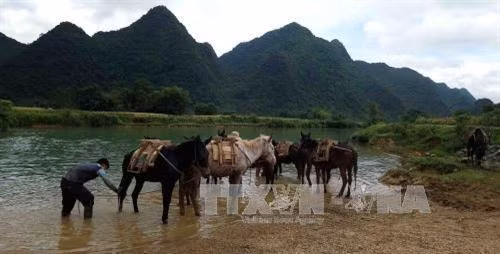 Chiều về bên dòng Quây Sơn. Ảnh: Quốc Đạt/Trung Nguyên - TTXVN
