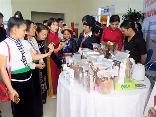 Việt Nam chia sẻ kinh nghiệm xây dựng chính sách hỗ trợ lao động việc làm cho người dân tộc thiểu số ảnh 10