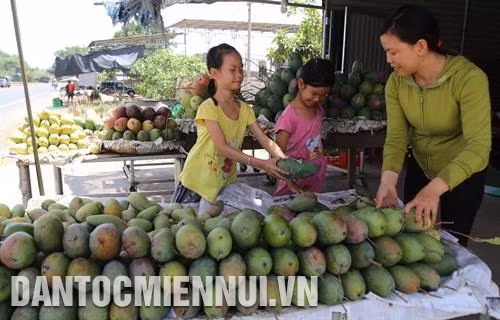 Sản phẩm hoa quả địa phương được bày bán trên quốc lộ 14 dọc xã Đắk Gằn. Ảnh: An Thành Đạt