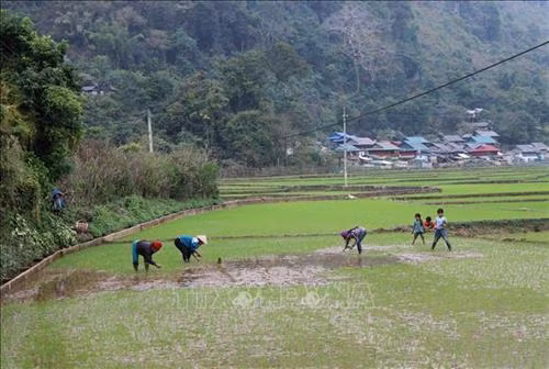 Người dân xuống đồng chuẩn bị cho vụ mùa mới. Ảnh: Văn Dũng - TTXVN