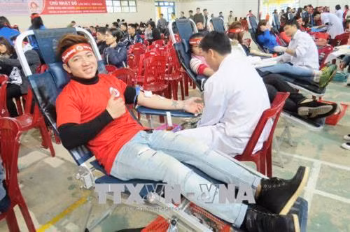 Quang cảnh hiến máu tình nguyện tại trường Đại học Quảng Bình. Ảnh: Võ Dung - TTXVN