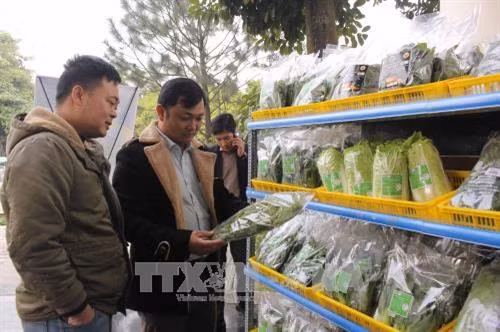 Sản phẩm rau củ quả chất lượng cao của Vĩnh Phúc được người tiêu dùng trong nước quan tâm. Ảnh: Nguyễn Thảo - TTXVN