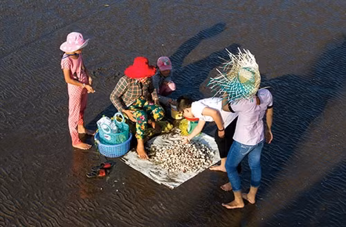 Chọn mua nghêu Tân Thành.