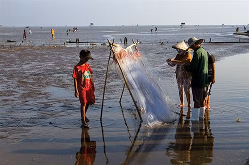 Biển Tân Thành ngoài thu hút du khách bằng vẻ đẹp còn đem lại nguồn thu dồi dào cho ngư dân nơi đây