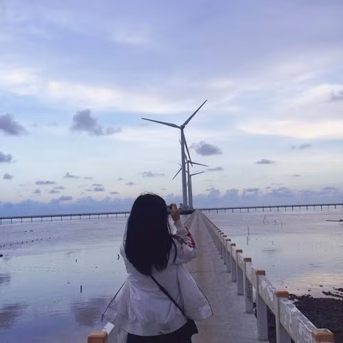 Đến Bạc Liêu ngắm “cánh đồng quạt gió” đẹp như trời Tây ảnh 4