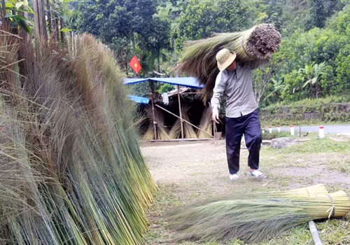 Người dân tranh thủ những cơn nắng “vàng” để phơi đót với hi vọng vớt vát được chút ít công sức bỏ ra.