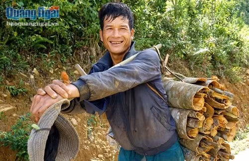 Người dân vui vì cây quế cho nguồn thu nhập cao và ổn định