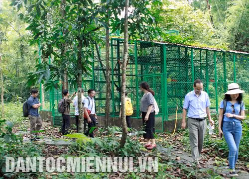 Các phóng viên tham gia khóa tập huấn thực hành tác nghiệp tại Vườn Quốc gia Cát Tiên