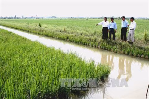 Cán bộ ngành nông nghiệp kiểm tra mô hình sản xuất lúa - tôm . Ảnh : baotintuc.vn