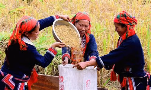 XUÂN VỀ TRÊN CAO NGUYÊN: Xuống chợ ngày xuân là nét đẹp văn hóa của cư dân vùng cao. Chiều về mọi người đều vui vẻ như đem theo mùa xuân về bản.Ảnh chụp ở cao nguyên Đồng Văn. BÀ MẸ NGƯỜI MÔNG: Bà mẹ người Mông tiếp thị du lịch ở bản Tả Van - Sa Pa. BÊN HIÊN NHÀ. Ảnh chụp ở bản Nàn Ma, Xín Mần, Hà Giang. NIỀM VUI TRÊN NƯƠNG. Địu con lên nương làm việc. Giờ nghỉ, vui đùa cùng con giúp mẹ xua tan những mệt nhọc trong công việc. Ảnh chụp ở Hoàng Su Phì, Hà Giang BIỂU TƯỢNG TÌNH YÊU. Nụ cười - Biểu tượng tình yêu của người phụ nữ vùng cao. Ảnh chụp ở Mã Pì Lèng, Hà Giang. CÂU CHUYỆN NGÀY XUÂN. Công việc hàng ngày của những người chị, người mẹ trong không khí vui tươi của mùa xuân. Ảnh chụp ở Đồng Văn , Hà Giang. VẠT NẮNG CHIỀU. Bà mẹ H.mông đang phơi đậu bên hiên nhà trong ánh nắng chiều. Ảnh chụp ở Xín Mần, Hà Giang. HẠT VÀNG. Hạt lúa với bao mồ hôi, công sức được đồng bào vùng cao coi như hạt vàng THỔ CẨM SAPA. Những người mẹ may các mặt hàng truyền thống từ thổ cẩm, góp phần quảng bá hình ảnh du lịch Sapa TỚI TRƯỜNG. Cô giáo miền xuôi cắm bản đón các em tới trường. Ảnh chụp ở con suối gần trường cấp 1,2 Tả Van, Sa Pa, Lào Cai.