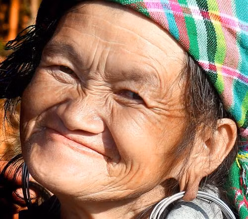 Những bông hoa của núi rừng ảnh 2