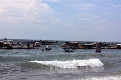 Nuôi cá lồng bè tại xã đảo Hòn Nghệ, huyện Kiên Lương, tỉnh Kiên Giang. Ảnh: Lê Sen - TTXVN