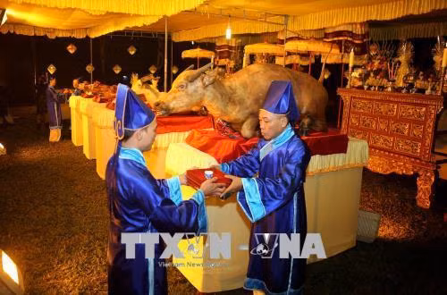 Nghi thức lễ cúng trong Lễ tế Xã Tắc. Ảnh: Hồ Cầu - TTXVN