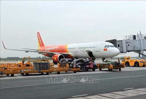 Hành lý và hàng hóa được tập kết trước khi chuyển lên máy bay tại sân bay Cát Bi ( Hải Phòng). Ảnh: An Đăng - TTXVN