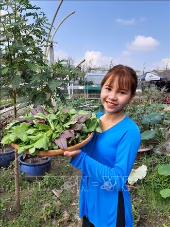 Hướng dẫn viên du lịch giới thiệu các loại rau sạch ăn kèm món lẩu. Ảnh: Ánh Tuyết – TTXVN
