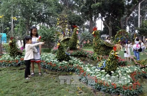 Người dân háo hức đến tham quan và chụp ảnh tại Hội Hoa xuân Đinh Dậu. Ảnh: Phương Vy – TTXVN