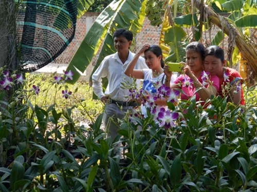 Nông dân Khmer phát triển nông nghiệp đô thị ảnh 1