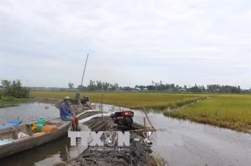 Người dân bơm thoát nước để cứu lúa ở Long An. Ảnh: Thanh Bình-TTXVN