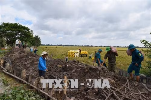 Lực lượng chức năng và người dân gia cố các đoạn đê xung yếu để bảo vệ các trà lúa vụ hè - thu 2018 chưa thu hoạch ở Đồng Tháp. Ảnh: Chương Đài - TTXVN