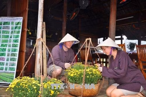 Phố cổ với những trải nghiệm nhẹ nhàng, có hàm lượng văn hóa cao luôn luôn là lựa chọn của khách du lịch đến từ Châu Âu, Bắc Mỹ, Úc. Ảnh: Hữu Trung - TTXVN