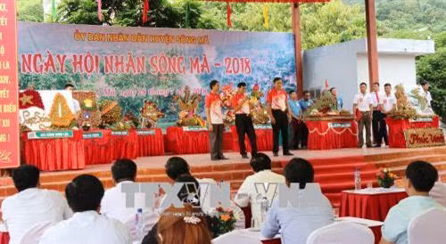 Các địa phương giới thiệu về sản phẩm nhãn của mình tại hội thi. Ảnh: TTXVN phát
