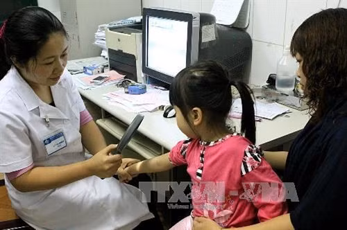 Nếu lỡ tay đập hoặc chà xát kiến ba khoang trên da thì nhanh chóng rửa sạch nơi tiếp xúc để hạn chế chất độc của kiến ngấm vào cơ thể. Ảnh: Dương Ngọc-TTXVN