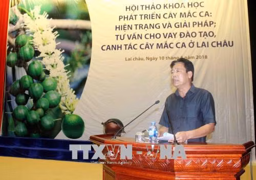 Ông Lê Trọng Quảng, Phó Chủ tịch UBND tỉnh Lai Châu phát biểu tại Hội thảo. Ảnh: Công Tuyên – TTXVN
