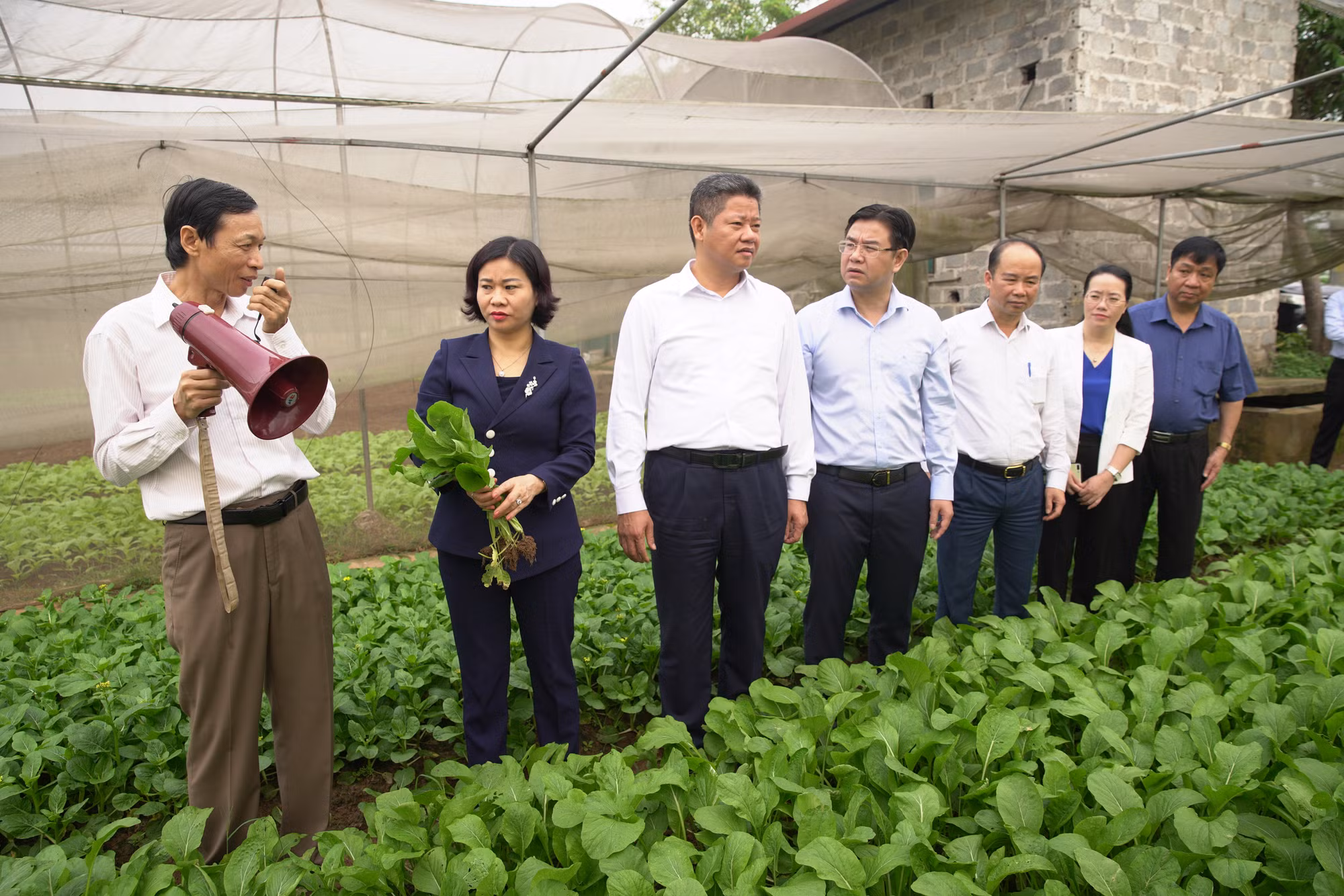 Vùng quê Chương Mỹ khởi sắc nhờ xây dựng nông thôn mới ảnh 2