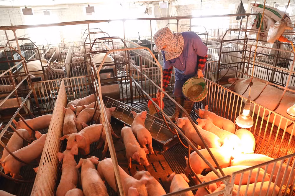 Hà Nội xây dựng nông thôn mới ở vùng dân tộc và miền núi ảnh 3