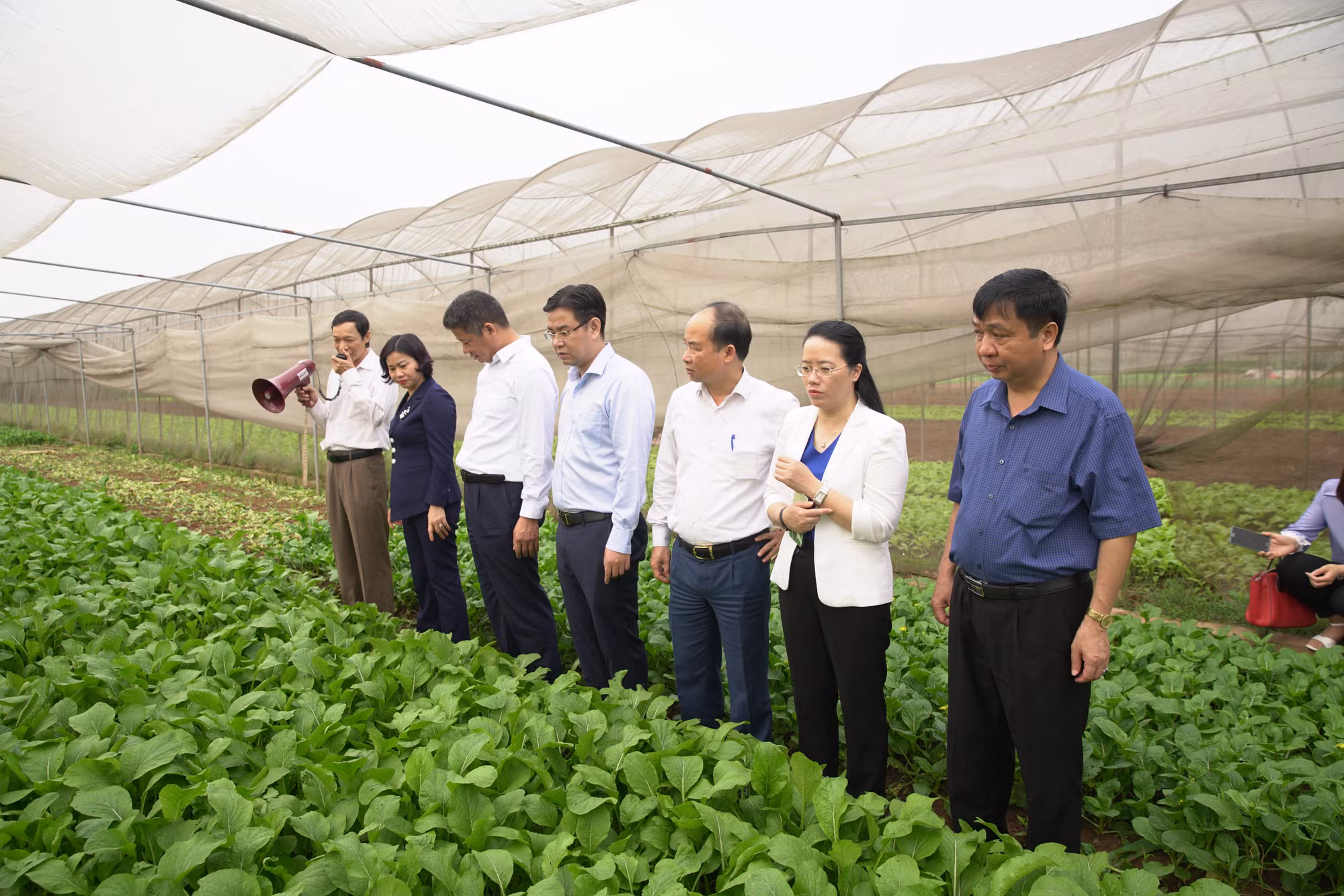 Nông nghiệp Hà Nội nỗ lực vượt khó ảnh 2