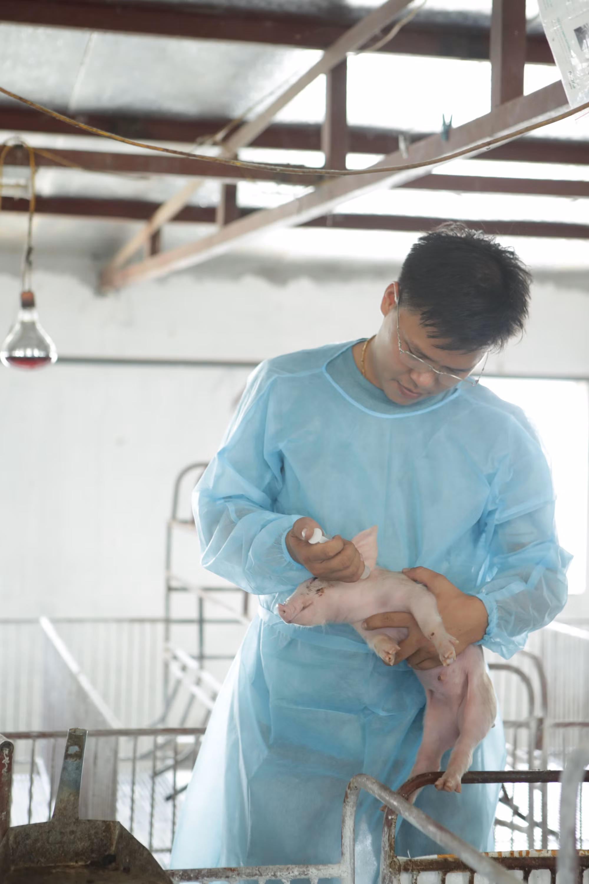 Sóc Sơn nỗ lực cán đích huyện nông thôn mới ảnh 3