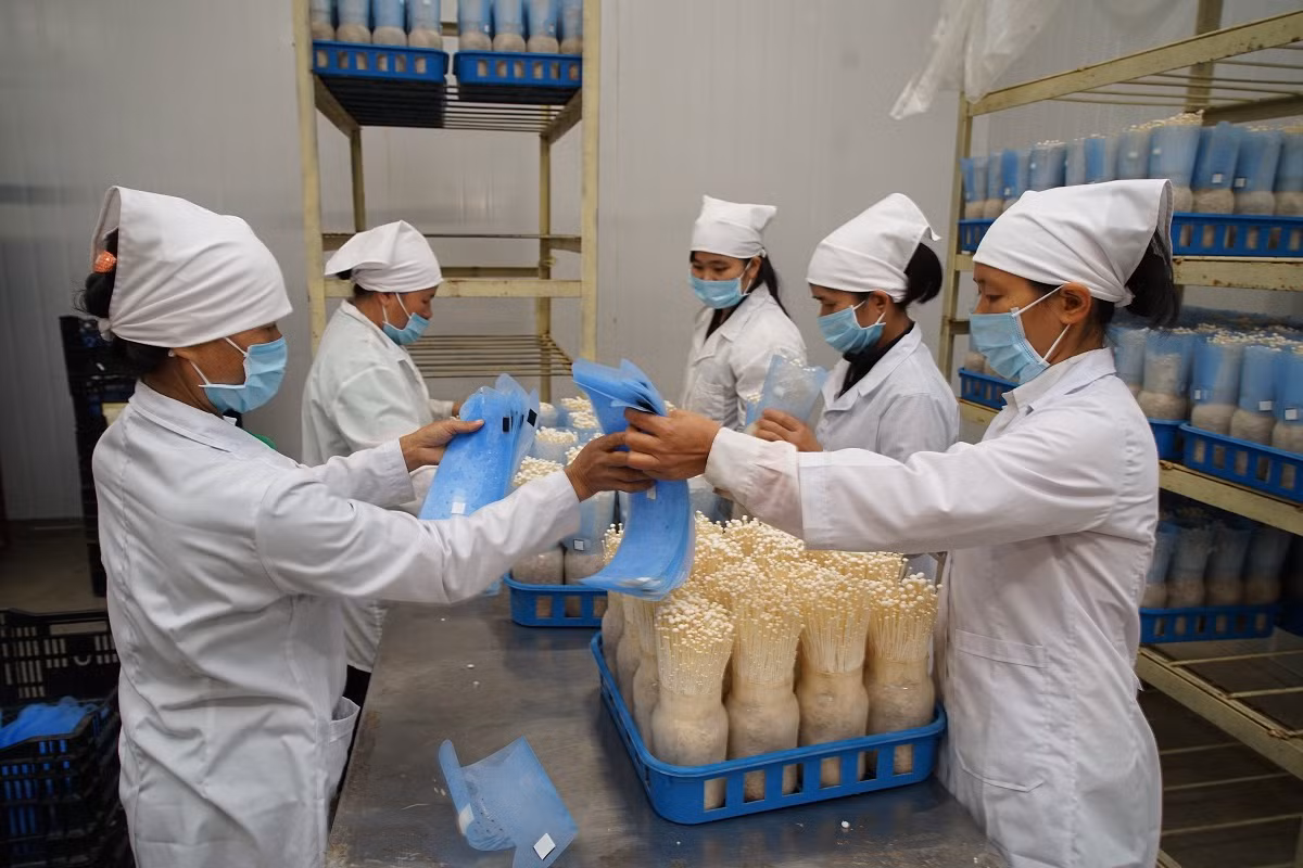 Hà Nội tổ chức Hội thảo về đẩy mạnh ứng dụng và chuyển giao công nghệ trong nông nghiệp ảnh 1
