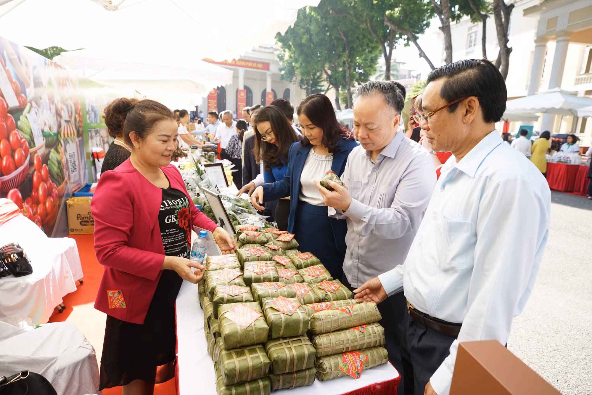 Hà Nội tổ chức tổng kết chương trình phối hợp phát triển chuỗi cung cấp rau, thịt an toàn giai đoạn 2015 - 2020 ảnh 11