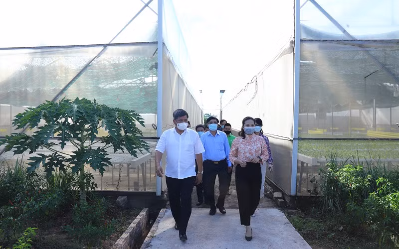 Hanofarm đẩy mạnh tiêu thụ nông sản qua kênh bán hàng trực tuyến ảnh 1 Hanofarm đẩy mạnh tiêu thụ nông sản qua kênh bán hàng trực tuyến ảnh 1