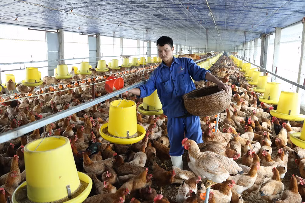 Hà Nội nắm bắt nguyện vọng của người dân, phát huy vai trò làm chủ của nhân dân trong xây dựng nông thôn mới ảnh 6