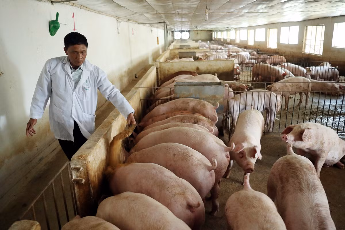 Góp phần khẳng định vai trò hợp tác xã nông nghiệp ảnh 1