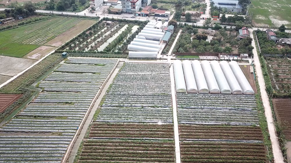 Đan Phượng hướng tới huyện nông thôn mới nâng cao đầu tiên của Hà Nội ảnh 6