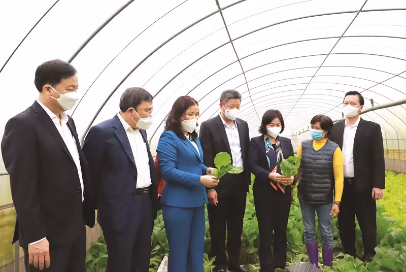 Đan Phượng xây dựng huyện đạt chuẩn nông thôn mới kiểu mẫu vào năm 2023 ảnh 5
